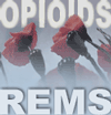 Opioid-REMS